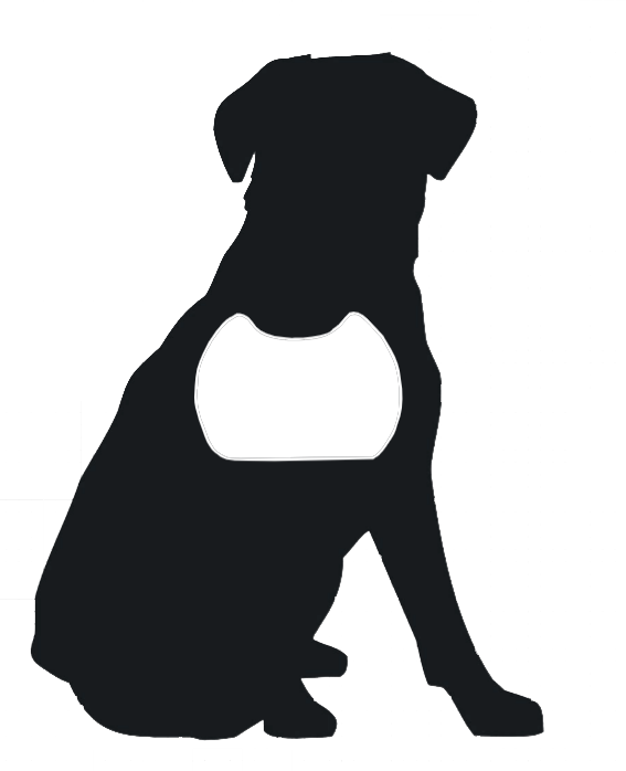 Lab Bottle Opener - Metal Wall Art