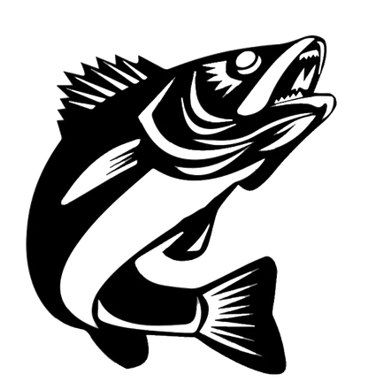 Walleye Fish - Metal Wall Art