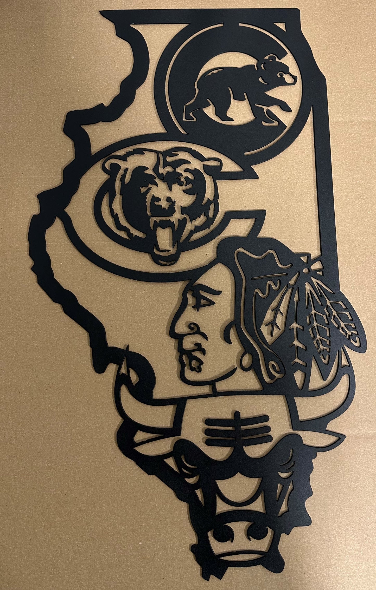Illinois Sports Blackhawks- Metal Wall Art