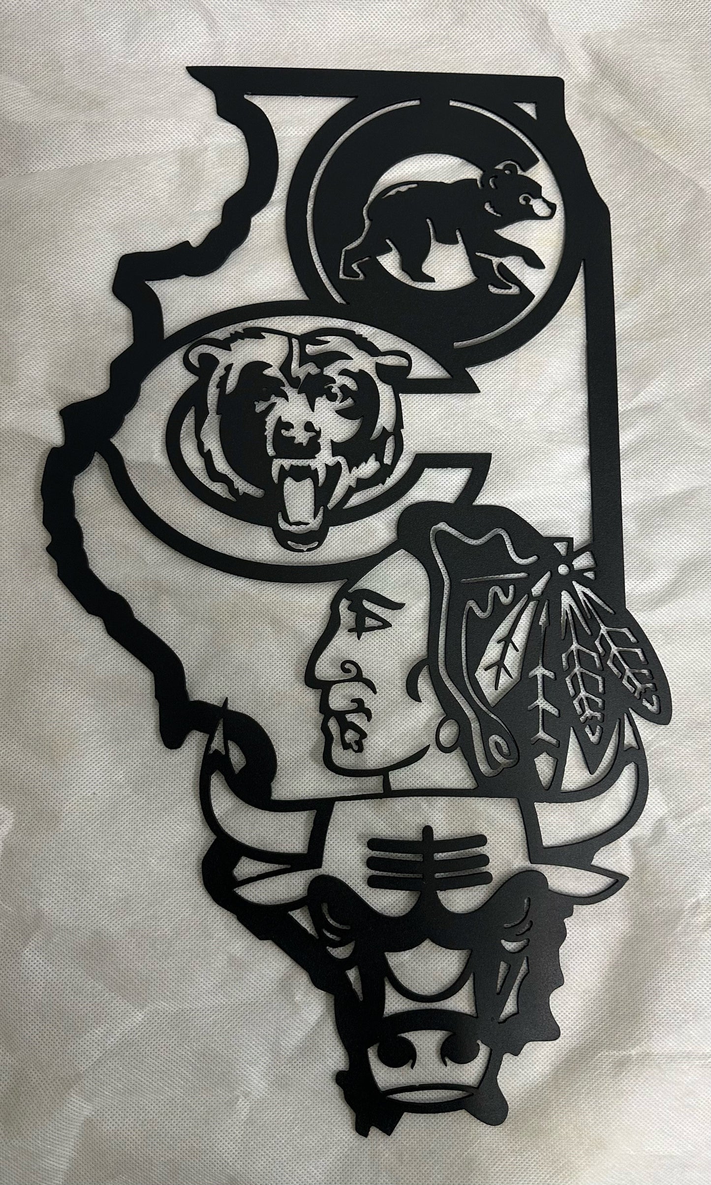 Illinois Sports Blackhawks- Metal Wall Art