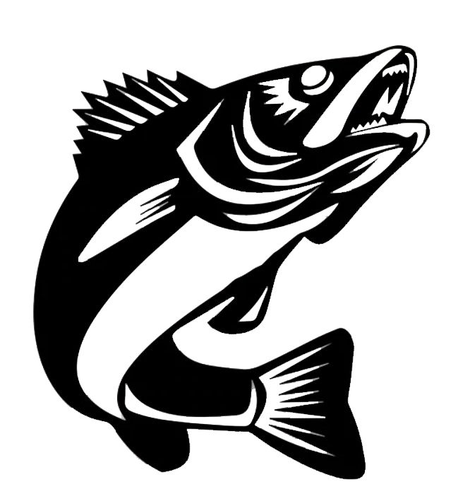 Walleye Fish - Metal Wall Art
