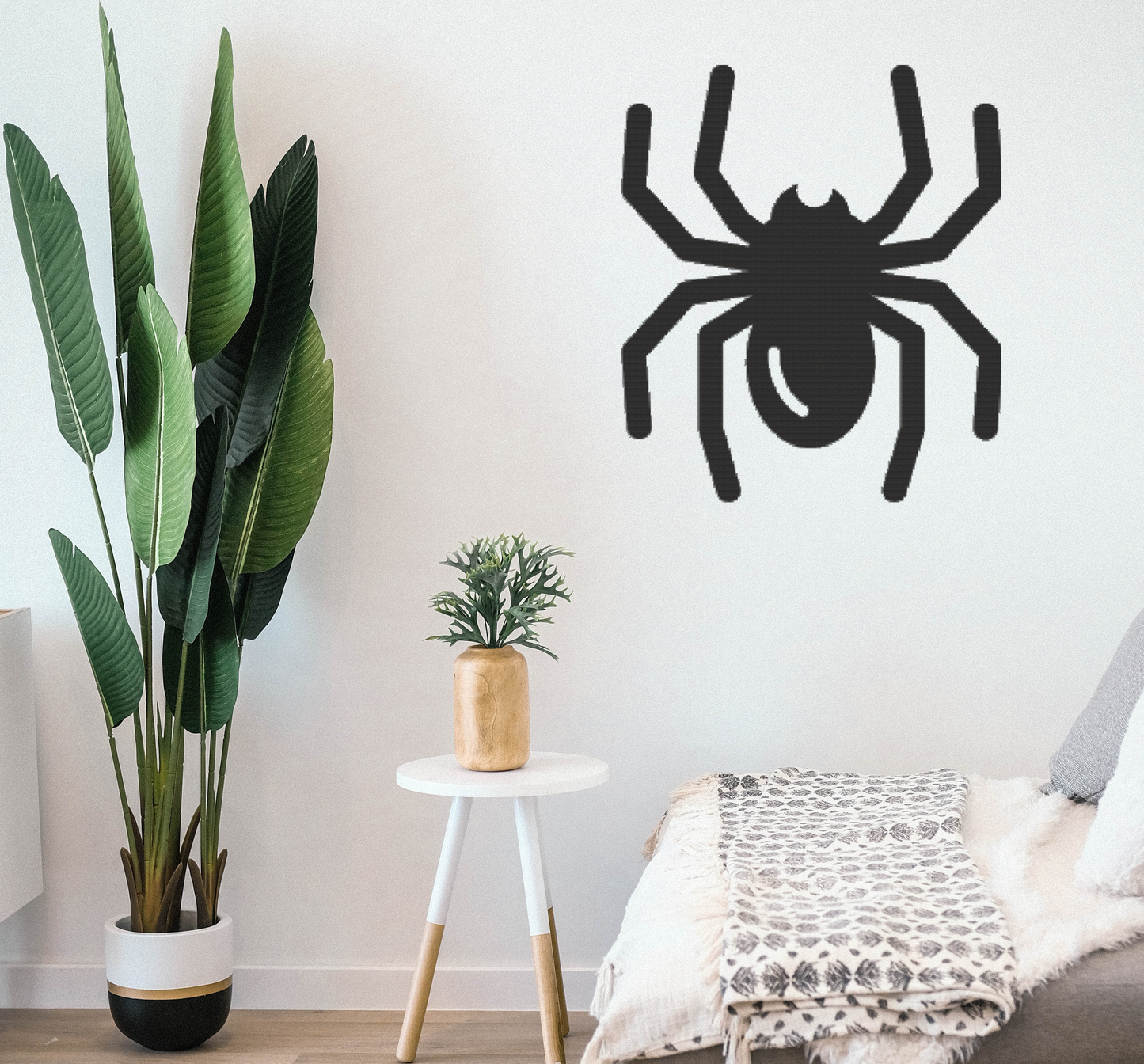 Spider